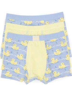 U.S. Polo Assn. Erkek Çocuk 3'lü Boxer Takım 50319389-VR035