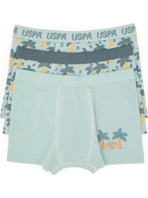 U.S. Polo Assn. Erkek Çocuk 3'lü Boxer Takım 50319388-VR048