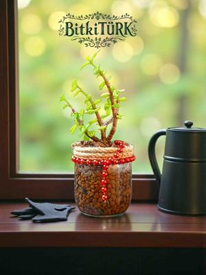 BitkiTÜRK Kil Bilye Kültüründe Afra Para Ağacı 25/40CM