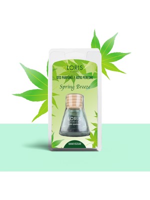 Loris Bahar Rüzgarı Oto Kokusu 9 ml