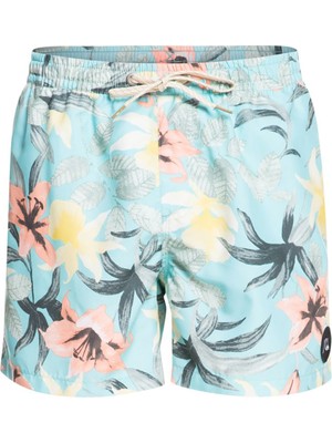 Quiksilver Everyday Garden Path Volley 15 Erkek Mavi Volley Short