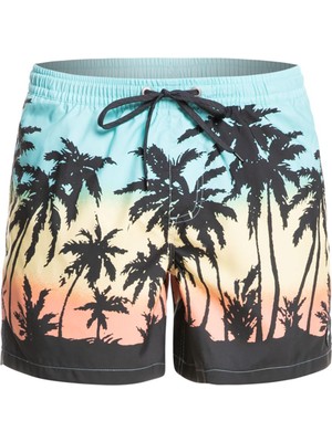 Quiksilver Erkek Volley Short Everyday Paradise Volley 15 Turkuaz