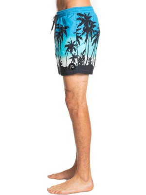 Quiksilver Everyday Paradise Volley 15 Erkek Mavi Volley Short