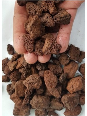 Pomza Taşı 10-15 mm 10 Lt Volkanik Ponza Lav Taşı Kaktüs Sukulent Pomzası Tarım Pomzası