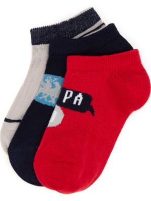 U.S. Polo Assn. Erkek Çocuk 3'lü Patik Çorap 50311347-VR030