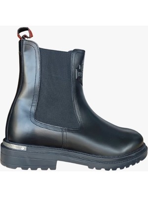 Harley Davidson Falco Bot