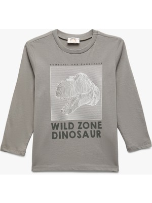 Koton Pamuklu Uzun Kollu Bisiklet Yaka Dinozor Baskılı Tişört