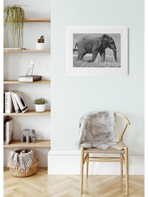 Ofis Tablo Steps of Grace Yatay Çerçeveli Kanvas Tablo – Siyah Beyaz Fil Figürlü Modern Duvar Dekoru (25x30 cm)