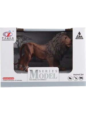 Amalfi Kutulu Model Figür Hayvan Aslan Kız Erkek Çocuk Oyuncak Eğitici Oyuncaklar