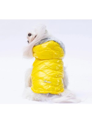 Pawstar Light Wave Kedi Köpek Yelek