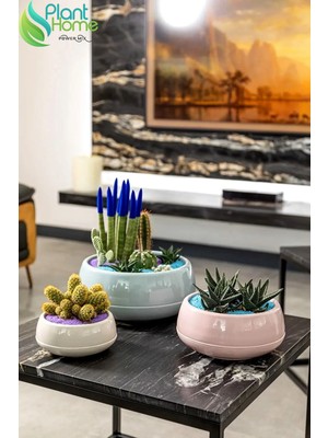 Veniv Elvan Aranjman Saksı 0,86 Litre Soft Pembe 17CM Menekşe Kaktüs Sukulent Saksısı Parlak Plastik