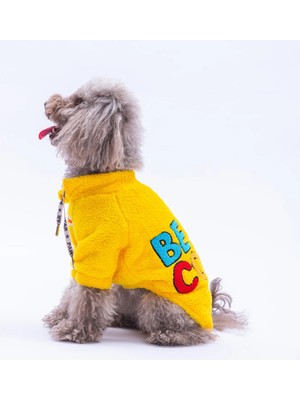 Pawstar Sarı Porto Cozy Kedi Köpek Sweat