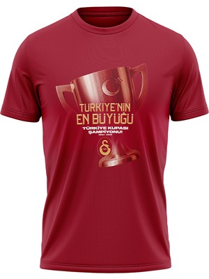 Gs Store Galatasaray Türkiye Kupası Şampiyonluk Çocuk T-Shirt C251423