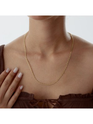 Mg Gold Örgü Zincir