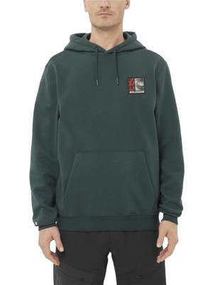 Salomon FREESTYLE HOODIE Erkek Sweatshirt Green Gables LC2679000