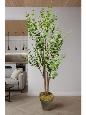 Maki Dekor YAPAY OKALİPTUS 160 CM DEKORATİF MODERN AĞAÇ