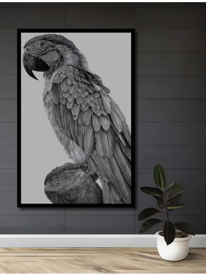 Teona Ahşap Çerçeve Görünümlü Papağan Dekoratif Ahşap Mdf Işyeri Duvar Tablo Dikdörtgen Işyeri Duvar Tablo