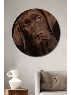 Teona Ahşap Aşk Bakan Labrador Köpek Dekoratif Ahşap Mdf Ev/işyeri Duvar Tablo Yuvarlak Ev/işyeri Duvar Tablo