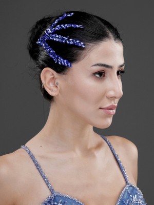 Magic Tiara Yaprak Formlu Kristal Taşlı Şık Saç Tokası – Gelin, Nişan ve Özel Gün Saç Aksesuarı (2'li paket)