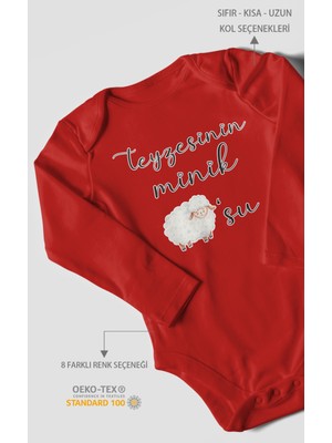 Teyzesinin Minik Kuzusu Baskılı Bebek Zıbını – Çıtçıtlı Body 8 Renk | %100 Pamuk Uzun Kol