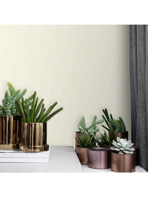 Adawall Adawall 5805  | Düz Dokular Ile Duvar Kağıdı (5805-5 : Krem, Açık)