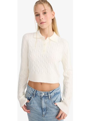 DeFacto Slim Fit Dar Kesim Polo Yaka Kazak F1745AX25WN