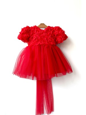 Baby Animals Kız Bebek Kız Çocuk Doğum Günü Parti Düğün Elbise Balonkol Güllü Fiyonklu Tüllü Tütü Astarlı