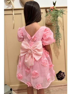 Baby Animals Kız Bebek Kız Çocuk Doğum Günü Parti Düğün Elbise Kısa Kol Tüllü Tütülü Tütü Astarlı