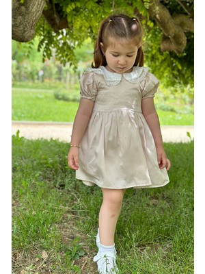 Baby Animals Kız Bebek Elbise Kız Çocuk Elbise Doğum Günü Parti Düğün Elbise Dantelli Kısa Kol astarlı elbise