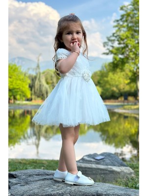 Baby Animals Kız Bebek Elbise Kız Çocuk Elbise Doğum Günü Parti Düğün Elbise Dantelli Kısa Kol astarlı elbise