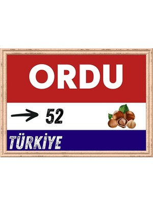 Özcan Tasarım Ordu Tablo - Retro Tablo