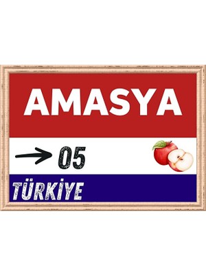 Özcan Tasarım Amasya Tablo - Retro Tablo