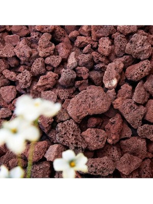 Pomza Taşı 5 kg 1,5-2,5 cm Kırmızı Pomza Tarım Pomzası Bahçe Saksı Teraryum Taşı Ponza