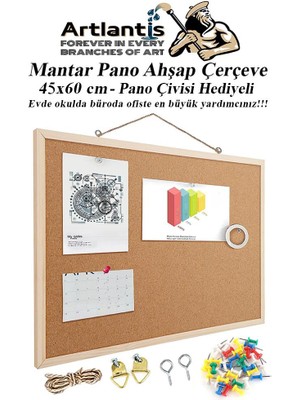 Artlantis Mantar Pano Ahşap Çerçeve 45X60 cm 1 Adet Harita Çivisi Hediyeli Duvara Monte Mantar Çerçeve Evde Okulda Büroda Ofiste