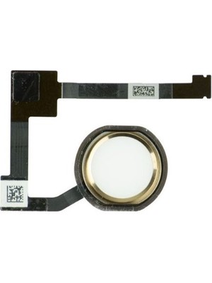 OEM Uyumlu Ipad Mini 4 A1538 A1550 Home Tuş Flex Gold