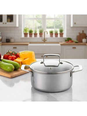 Emsan Pro Tri Ply Derin Tencere Çelik 20 cm