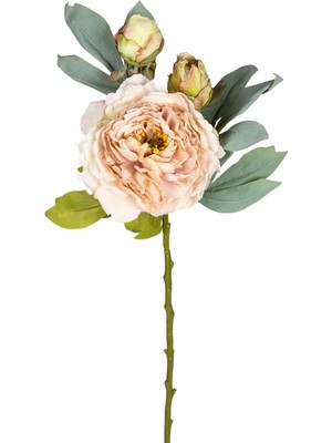 Mena Rise Çiçek Şakayık Somon 62 Cm.