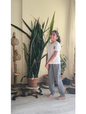 Şimo Butik Bayramlık Kız Çocuk Pantolonlu Tişörtlü Takım Beyaz Tişört Pötikareli Pantolon Kırmızı, Siyah, Sarı