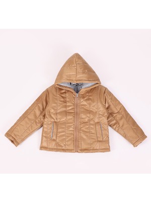 Pollito Desenli Mont