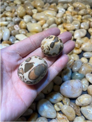 Gemsartdeco Septeryan Doğaltaş Aa Kalite Tambur