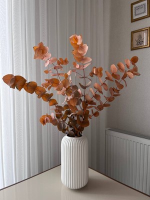 Kuru Çiçek Şoklanmış 1.kalite Turuncu Okaliptüs