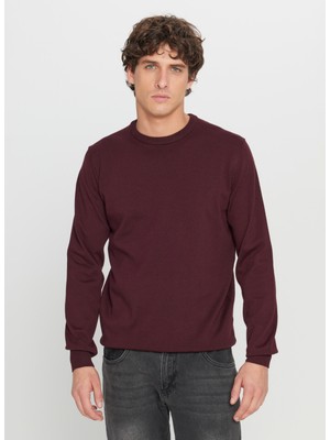 Altınyıldız Classics Bisiklet Yaka Standart Bordo Erkek Kazak ACE043261432_BRD