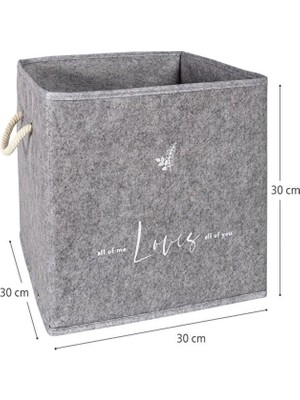 ALAS (2 Adet) Keçe Raf Düzenleyici Organizer-Oyuncak Sepeti-Çok Amaçlı Kutu 30X30X30 cm