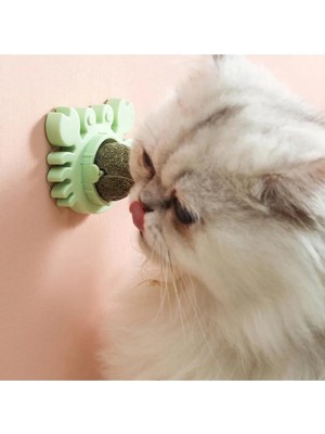 MERİVİA Kedi Otu Oyun Topu