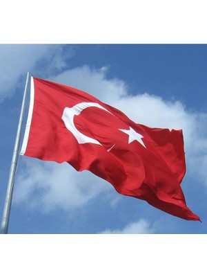 Sanat Türk Bayrağı 30X45 cm 10'lu Paket