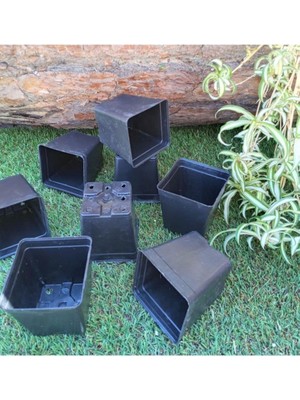 Kare Saksı 0,23 Lt 7x7,5 cm 60 Adet Üretim Saksısı Siyah Saksı Kare Üretim Saksı Plastik Saksı