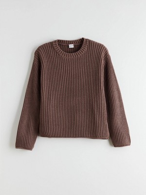 LC Waikiki Lcw Kids Kahverengi Bisiklet Yaka Kız Çocuk Triko Kazak