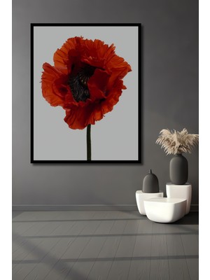 Teona Ahşap Dekoratif Ahşap Dikdörtgen Tablo Kırmızı Gelincik Çerçeve Görünümlü