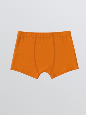 Lc Waikiki Yeni Sezon Beli Lastikli Erkek Çocuk Boxer