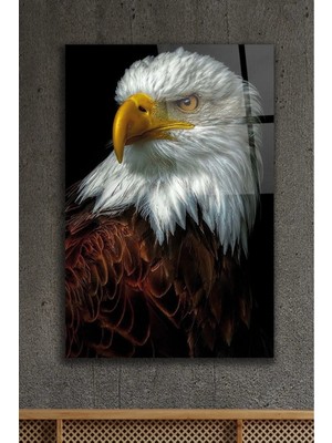 AR AJANS KANVAS TABLO Kartal Hayvan Dekoratif Cam Tablo